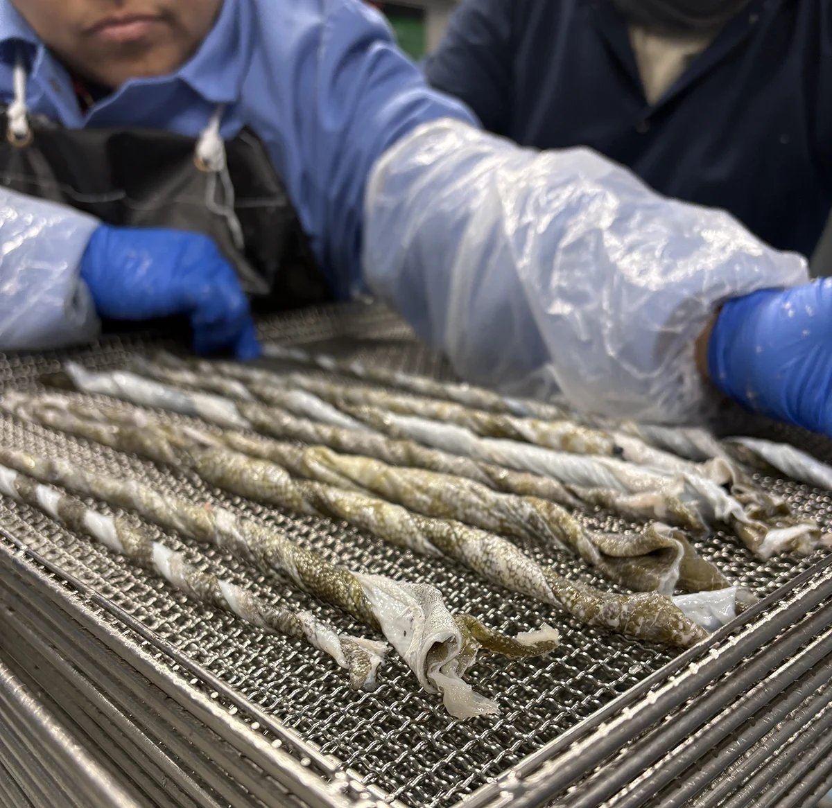 Twisted Cod Skins Processing